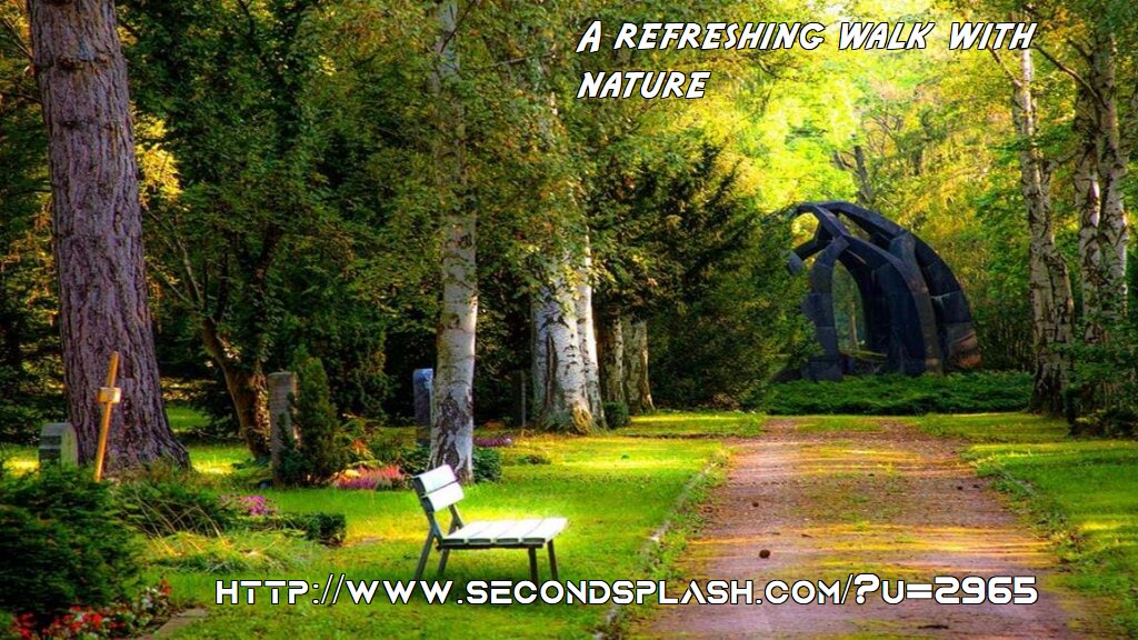 Splash Page 2